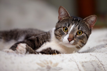 Similar image 5902247