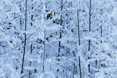 Similar image 5902292