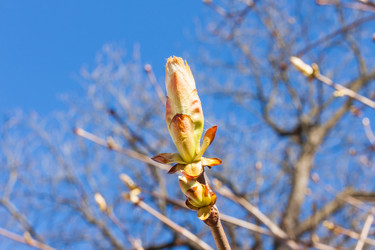 Similar image 5902302