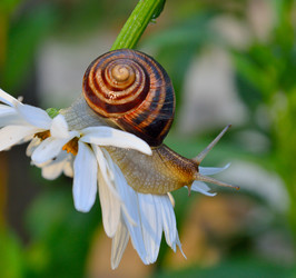 Similar image 5902326