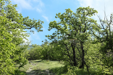 Similar image 5902327