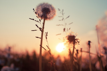 Similar image 5902358