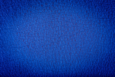 Similar image 5902362