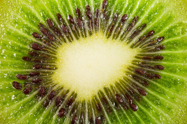 Similar image 5902365