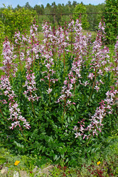 Similar image 5902368