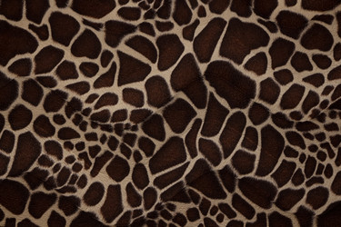 Similar image 5902515