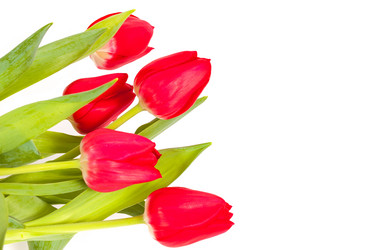 Similar image 5902711