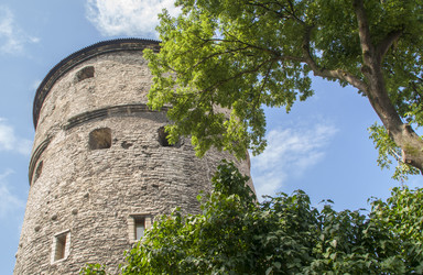 Similar image 5903271