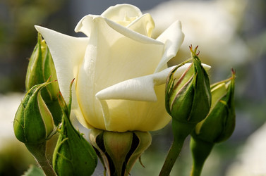 Similar image 5919088