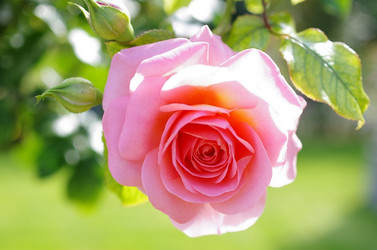 Similar image 5919089