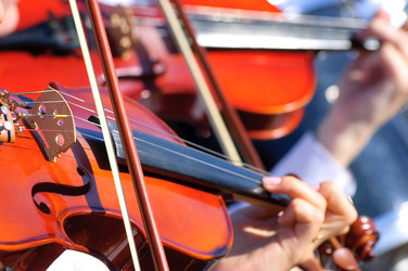 Similar image 5919122