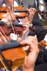 Similar image 5919123