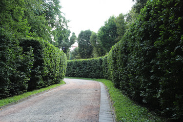 Similar image 5919170