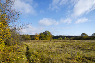 Similar image 5919172