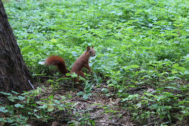 Similar image 5919201