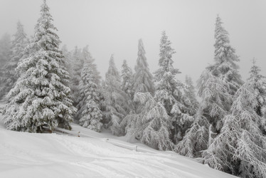 Similar image 5919238