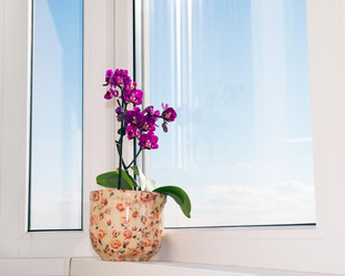 Similar image 5919319