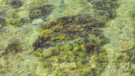 Similar image 5919329