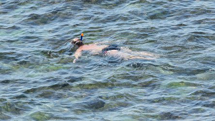 Similar image 5919407