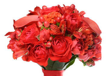 Similar image 5919433