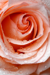 Similar image 5919465