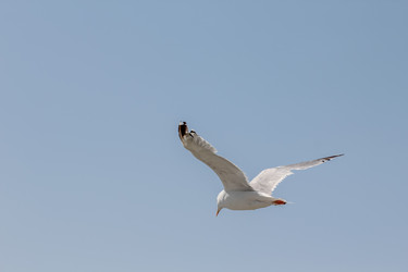 Similar image 5919469