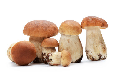 Similar image 5919471