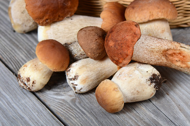 Similar image 5919473