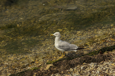 Similar image 5919847