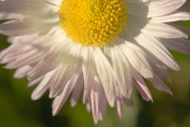 Similar image 5919867