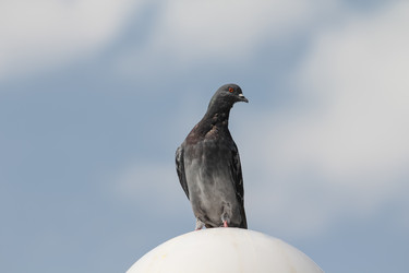 Similar image 5919987