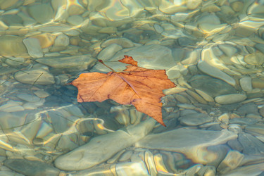 Similar image 5920029