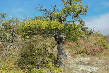 Similar image 5920088