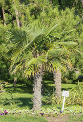 Similar image 5920169