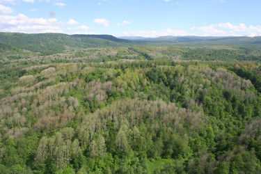 Similar image 5920184