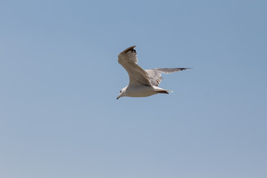 Similar image 5920189