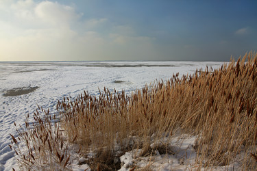 Similar image 5920244