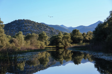 Similar image 5920268