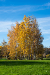 Similar image 5920598