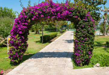 Similar image 5920600