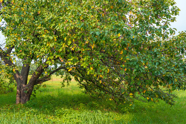 Similar image 5920654