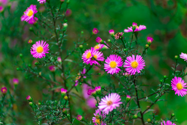 Similar image 5920656