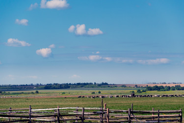 Similar image 5920710