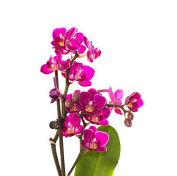 Similar image 5920712