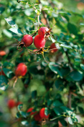 Similar image 5920714