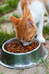 Similar image 5920718