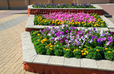 Similar image 5920722