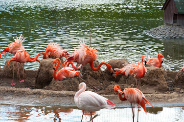 Similar image 5920752