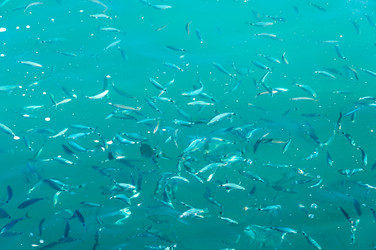 Similar image 5920766