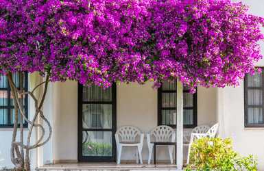 Similar image 5920790